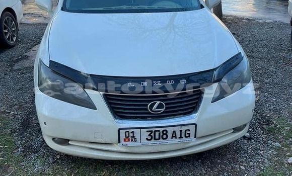 Buy Used Lexus RX 350 White Car in At–Bashi in Naryn Buy Used Lexus RX 350 White Car in At–Bashi in Naryn