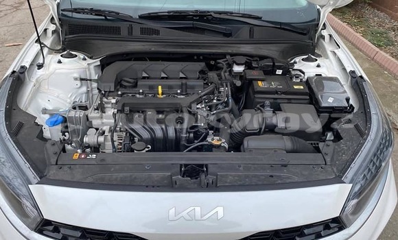 Buy Used Kia K3 White Car in At–Bashi in Naryn Buy Used Kia K3 White Car in At–Bashi in Naryn