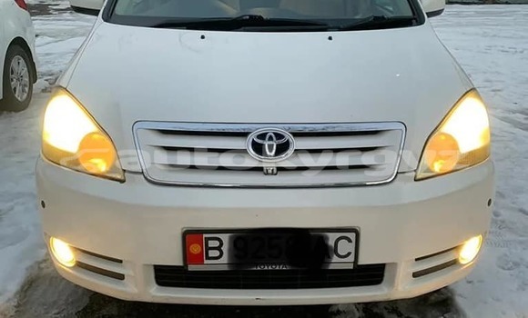 Buy Used Toyota Ipsum White Car in At–Bashi in Naryn Buy Used Toyota Ipsum White Car in At–Bashi in Naryn