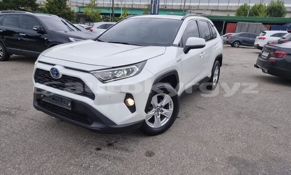 Buy Used Toyota RAV4 White Car in Ak–Terek in Issyk-Kul Buy Used Toyota RAV4 White Car in Ak–Terek in Issyk-Kul