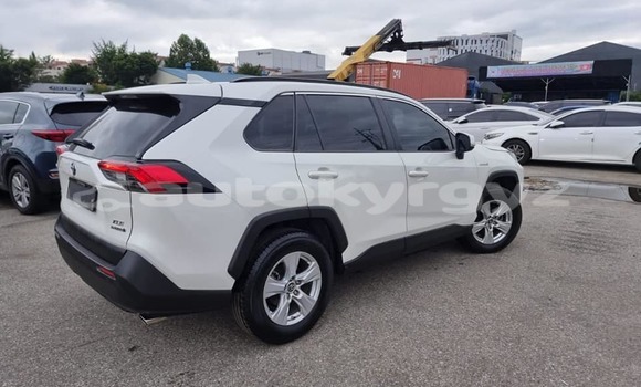 Buy Used Toyota RAV4 White Car in Ak–Terek in Issyk-Kul Buy Used Toyota RAV4 White Car in Ak–Terek in Issyk-Kul