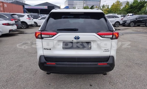 Buy Used Toyota RAV4 White Car in Ak–Terek in Issyk-Kul Buy Used Toyota RAV4 White Car in Ak–Terek in Issyk-Kul