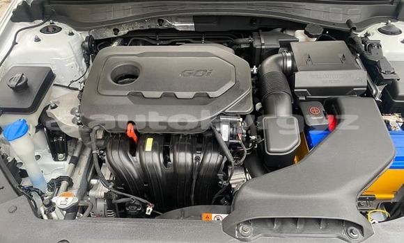 Buy Used Kia Optima White Car in Ananyevo in Issyk-Kul Buy Used Kia Optima White Car in Ananyevo in Issyk-Kul