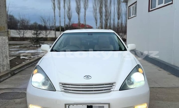 Buy Used Toyota Windom White Car in Ananyevo in Issyk-Kul