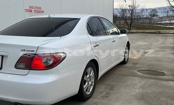 Buy Used Toyota Windom White Car in Ananyevo in Issyk-Kul Buy Used Toyota Windom White Car in Ananyevo in Issyk-Kul