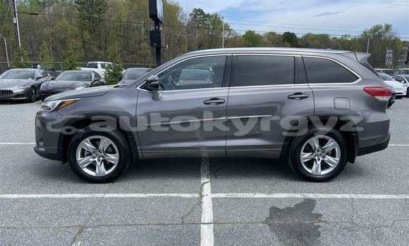 Buy Used Toyota Highlander Other Car in Ala Buka in Jalal-Abad