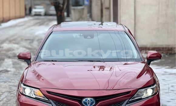 Buy Used Toyota Camry Red Car in At–Bashi in Naryn Buy Used Toyota Camry Red Car in At–Bashi in Naryn