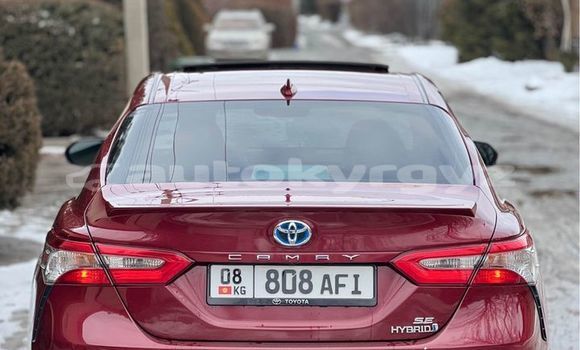 Buy Used Toyota Camry Red Car in At–Bashi in Naryn Buy Used Toyota Camry Red Car in At–Bashi in Naryn