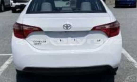 Buy Used Toyota Corolla White Car in At–Bashi in Naryn