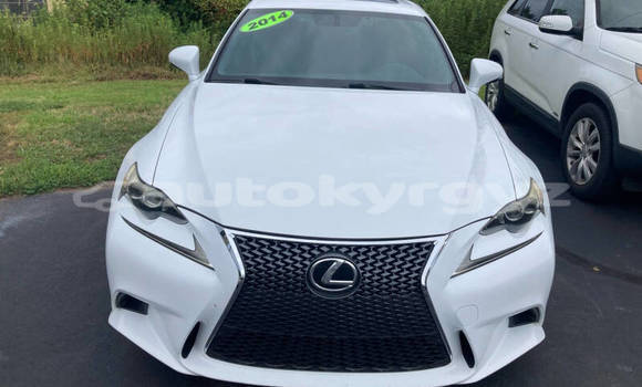 Buy Used Lexus IS White Car in Bishkek in Bishkek Buy Used Lexus IS White Car in Bishkek in Bishkek
