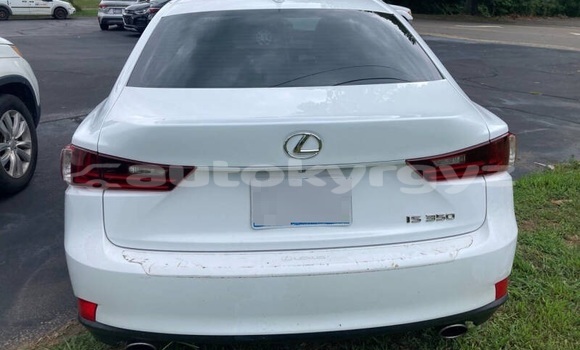 Buy Used Lexus IS White Car in Bishkek in Bishkek Buy Used Lexus IS White Car in Bishkek in Bishkek