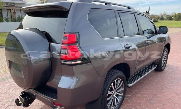 Buy Used Toyota Land Cruiser Prado Blue Car in Bishkek in Bishkek Buy Used Toyota Land Cruiser Prado Blue Car in Bishkek in Bishkek