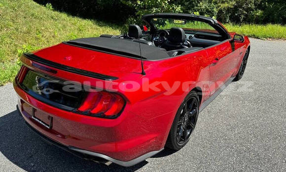 Buy Used Ford Mustang Red Car in Bishkek in Bishkek Buy Used Ford Mustang Red Car in Bishkek in Bishkek
