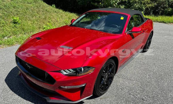 Buy Used Ford Mustang Red Car in Bishkek in Bishkek Buy Used Ford Mustang Red Car in Bishkek in Bishkek