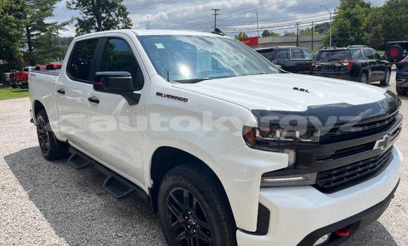 Buy Used Chevrolet Silverado White Car in Bishkek in Bishkek Buy Used Chevrolet Silverado White Car in Bishkek in Bishkek