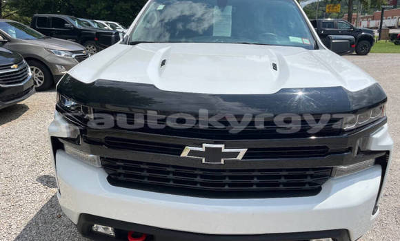 Buy Used Chevrolet Silverado White Car in Bishkek in Bishkek Buy Used Chevrolet Silverado White Car in Bishkek in Bishkek