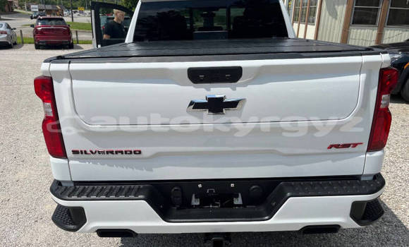Buy Used Chevrolet Silverado White Car in Bishkek in Bishkek Buy Used Chevrolet Silverado White Car in Bishkek in Bishkek