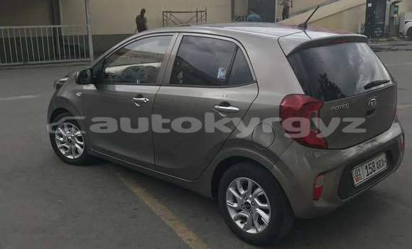 Buy Used Kia Morning Other Car in Ananyevo in Issyk-Kul Buy Used Kia Morning Other Car in Ananyevo in Issyk-Kul