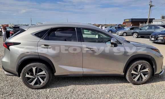 Buy Used Lexus NX Other Car in Ak–Suu in Chui Buy Used Lexus NX Other Car in Ak–Suu in Chui