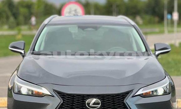 Buy Used Lexus NX Other Car in At–Bashi in Naryn