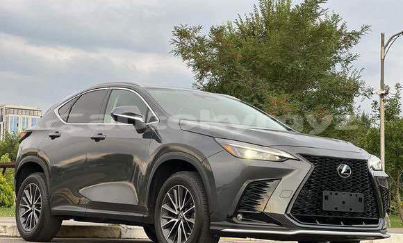 Buy Used Lexus NX Other Car in At–Bashi in Naryn Buy Used Lexus NX Other Car in At–Bashi in Naryn