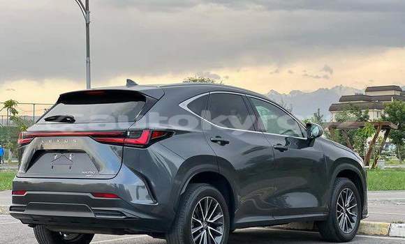 Buy Used Lexus NX Other Car in At–Bashi in Naryn Buy Used Lexus NX Other Car in At–Bashi in Naryn