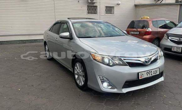 Buy Used Toyota Corolla Other Car in Ananyevo in Issyk-Kul