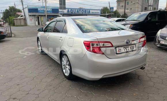 Buy Used Toyota Corolla Other Car in Ananyevo in Issyk-Kul Buy Used Toyota Corolla Other Car in Ananyevo in Issyk-Kul