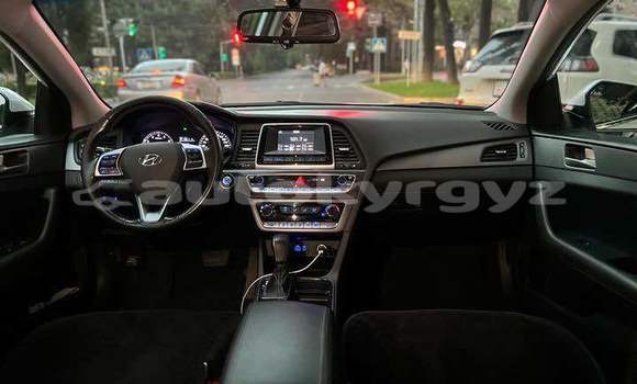 Buy Used Hyundai Sonata White Car in Ananyevo in Issyk-Kul Buy Used Hyundai Sonata White Car in Ananyevo in Issyk-Kul