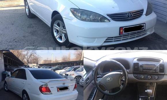 Buy Used Toyota Camry White Car in Bishkek in Bishkek Buy Used Toyota Camry White Car in Bishkek in Bishkek