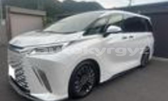 Buy Used Lexus LC White Car in Bishkek in Bishkek Buy Used Lexus LC White Car in Bishkek in Bishkek
