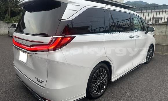 Buy Used Lexus LC White Car in Bishkek in Bishkek Buy Used Lexus LC White Car in Bishkek in Bishkek