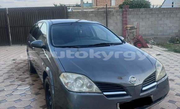 Buy Used Nissan Primera Other Car in Balykchy in Issyk-Kul