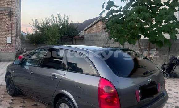 Buy Used Nissan Primera Other Car in Balykchy in Issyk-Kul Buy Used Nissan Primera Other Car in Balykchy in Issyk-Kul