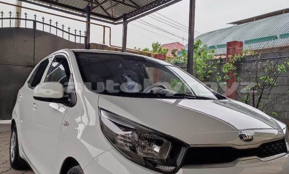 Buy Used Kia Morning White Car in Ananyevo in Issyk-Kul