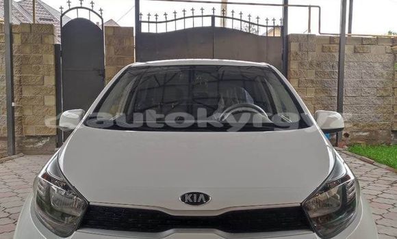 Buy Used Kia Morning White Car in Ananyevo in Issyk-Kul Buy Used Kia Morning White Car in Ananyevo in Issyk-Kul