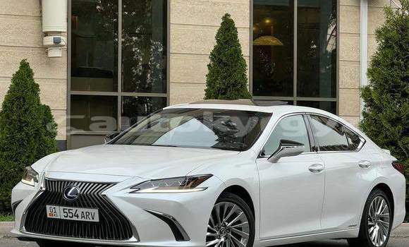 Buy Used Lexus ES White Car in At–Bashi in Naryn Buy Used Lexus ES White Car in At–Bashi in Naryn