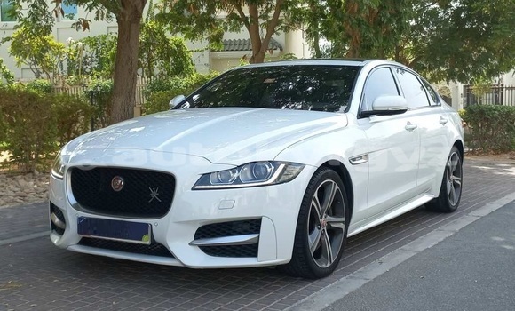 Buy Used Jaguar XF White Car in Bishkek in Bishkek