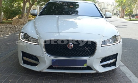 Buy Used Jaguar XF White Car in Bishkek in Bishkek Buy Used Jaguar XF White Car in Bishkek in Bishkek