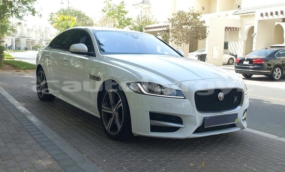 Buy Used Jaguar XF White Car in Bishkek in Bishkek Buy Used Jaguar XF White Car in Bishkek in Bishkek