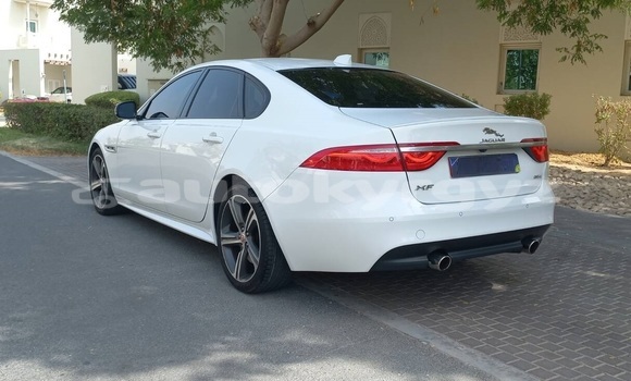 Buy Used Jaguar XF White Car in Bishkek in Bishkek Buy Used Jaguar XF White Car in Bishkek in Bishkek