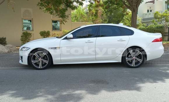 Buy Used Jaguar XF White Car in Bishkek in Bishkek Buy Used Jaguar XF White Car in Bishkek in Bishkek