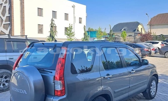 Buy Used Honda CR–V Other Car in Balykchy in Issyk-Kul Buy Used Honda CR–V Other Car in Balykchy in Issyk-Kul