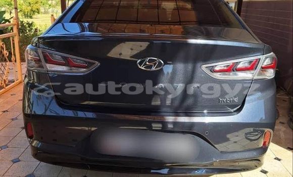 Buy Used Hyundai Sonata Other Car in Balykchy in Issyk-Kul Buy Used Hyundai Sonata Other Car in Balykchy in Issyk-Kul
