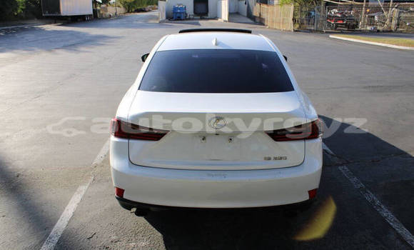 Buy Used Lexus IS White Car in Bishkek in Bishkek Buy Used Lexus IS White Car in Bishkek in Bishkek