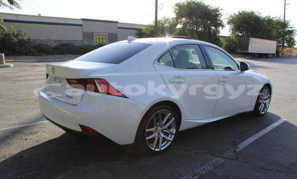 Buy Used Lexus IS White Car in Bishkek in Bishkek Buy Used Lexus IS White Car in Bishkek in Bishkek