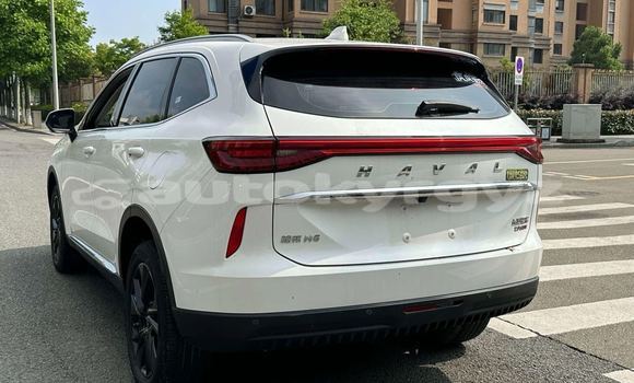 Buy New Haval H6 White Car in Bishkek in Bishkek Buy New Haval H6 White Car in Bishkek in Bishkek