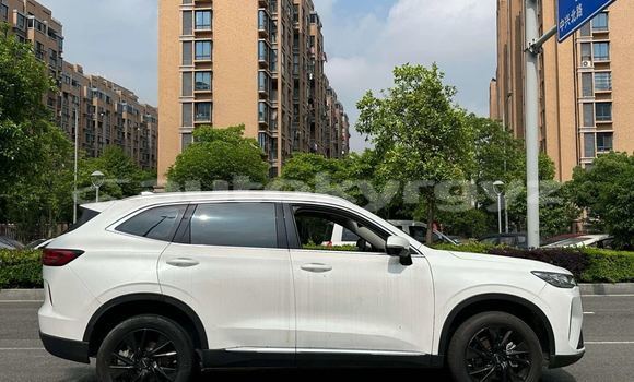 Buy New Haval H6 White Car in Bishkek in Bishkek Buy New Haval H6 White Car in Bishkek in Bishkek