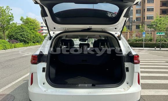 Buy New Haval H6 White Car in Bishkek in Bishkek Buy New Haval H6 White Car in Bishkek in Bishkek