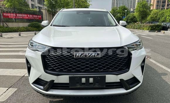 Buy New Haval H6 White Car in Bishkek in Bishkek Buy New Haval H6 White Car in Bishkek in Bishkek